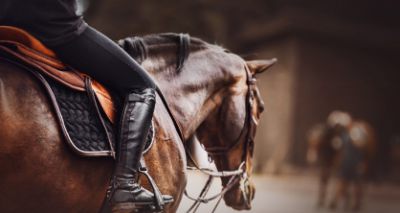 Flatter saddles may improve horse welfare - study